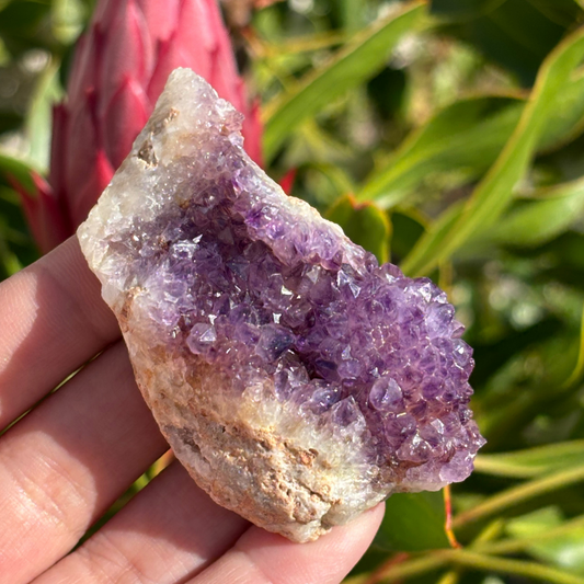 Amethyst Cluster - RSA (A Grade)