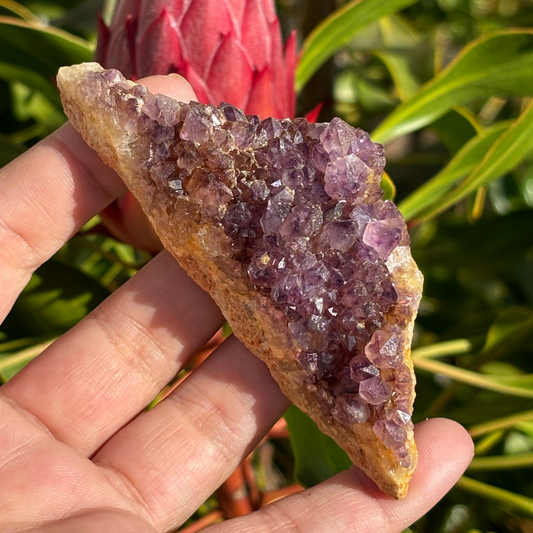 Amethyst Cluster - RSA (A Grade)