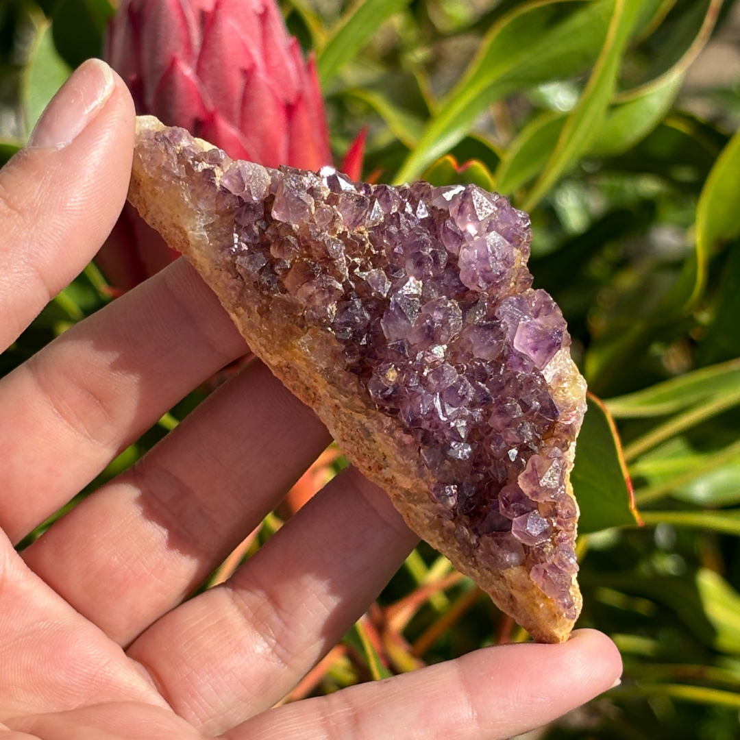 Amethyst Cluster - RSA (A Grade)