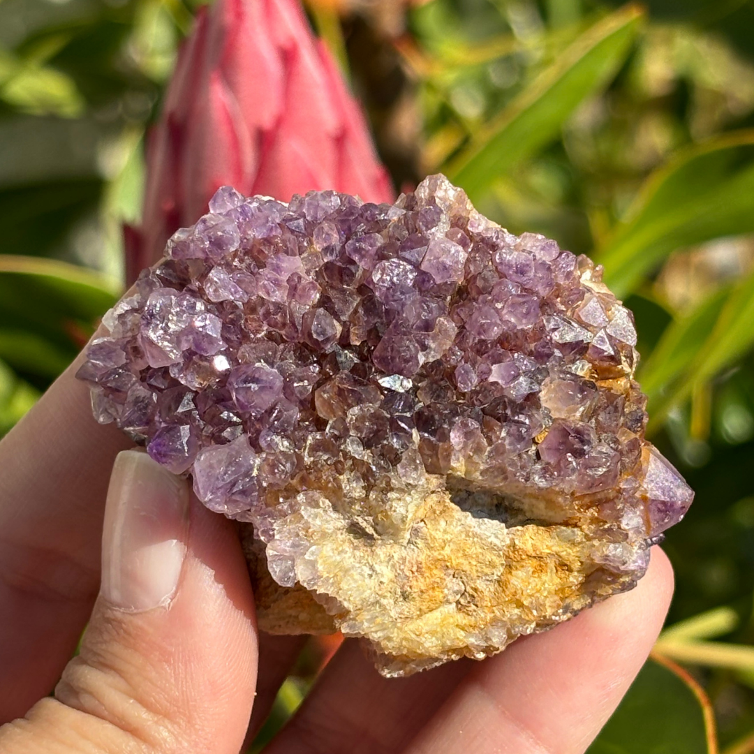 Amethyst Cluster - RSA (A Grade)