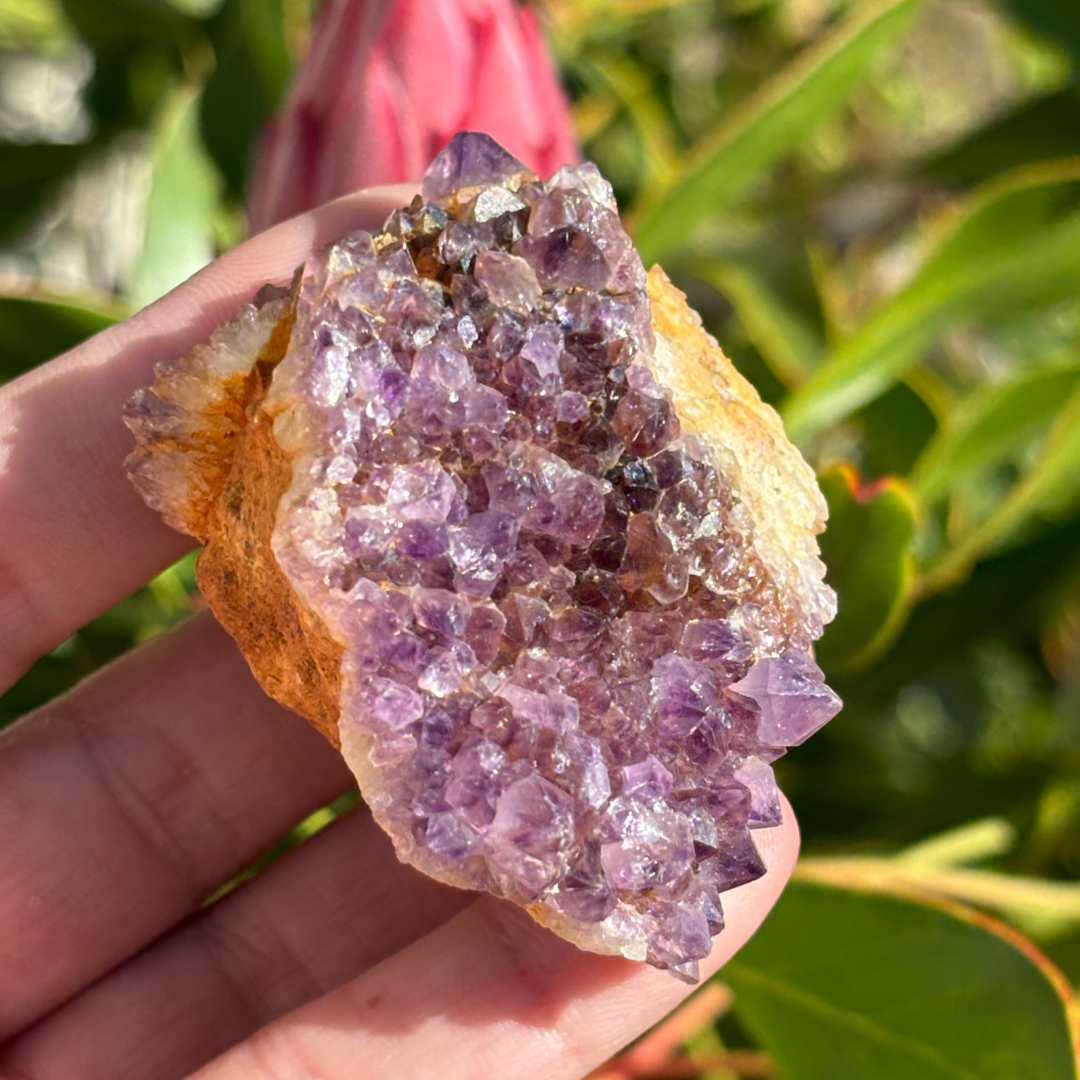 Amethyst Cluster - RSA (A Grade)