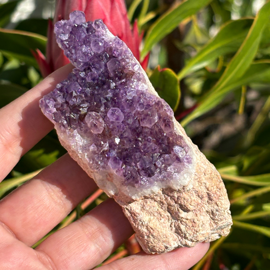 Amethyst Cluster - RSA (A Grade)