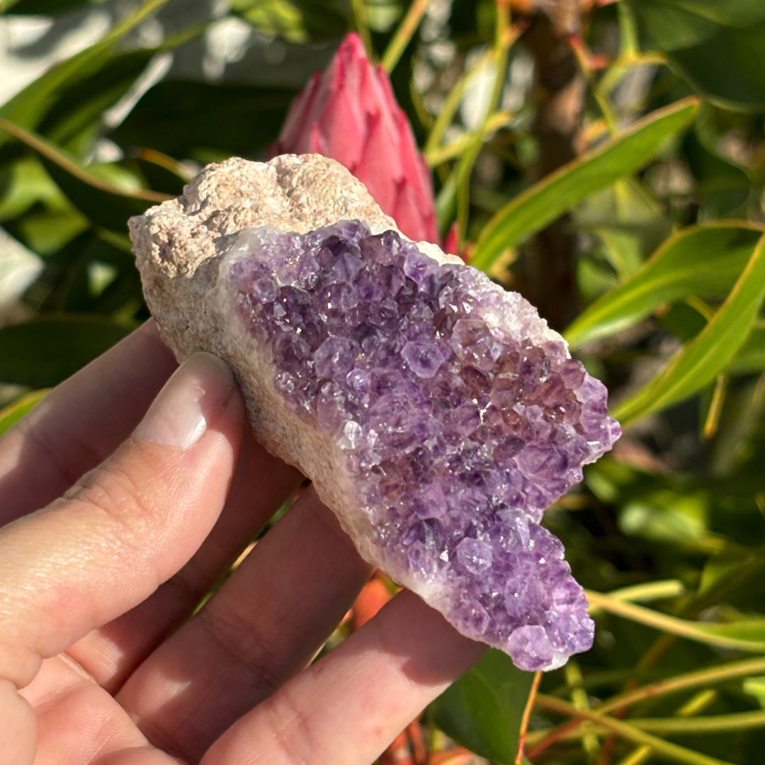 Amethyst Cluster - RSA (A Grade)