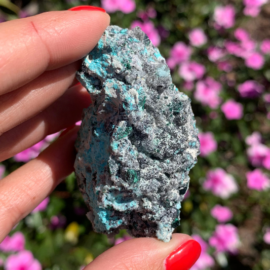 Chrysocolla Drusy with Malachite Specimen