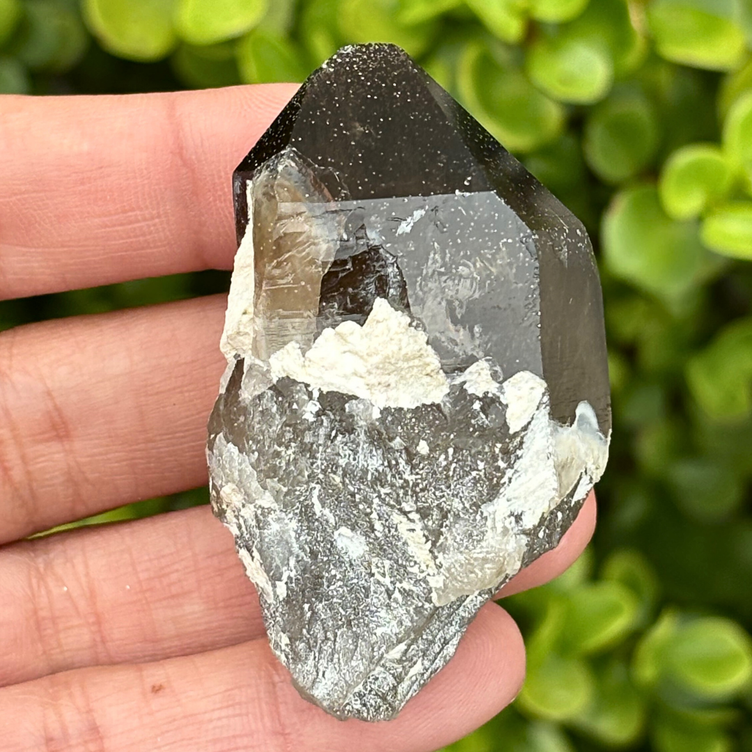 Smoky Quartz Point - A Grade