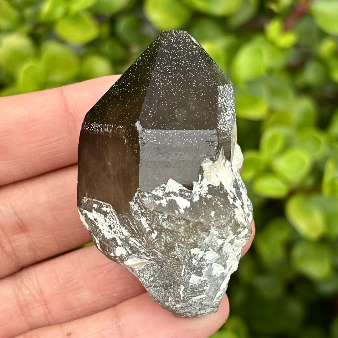 Smoky Quartz Point - A Grade