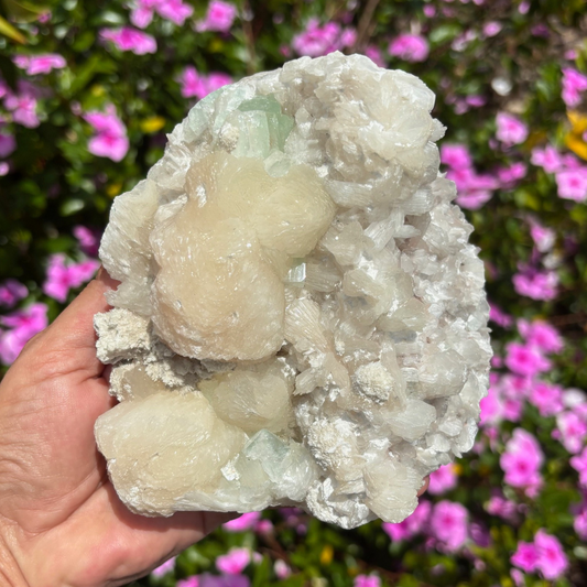 Apophyllite Cluster with Stilbite