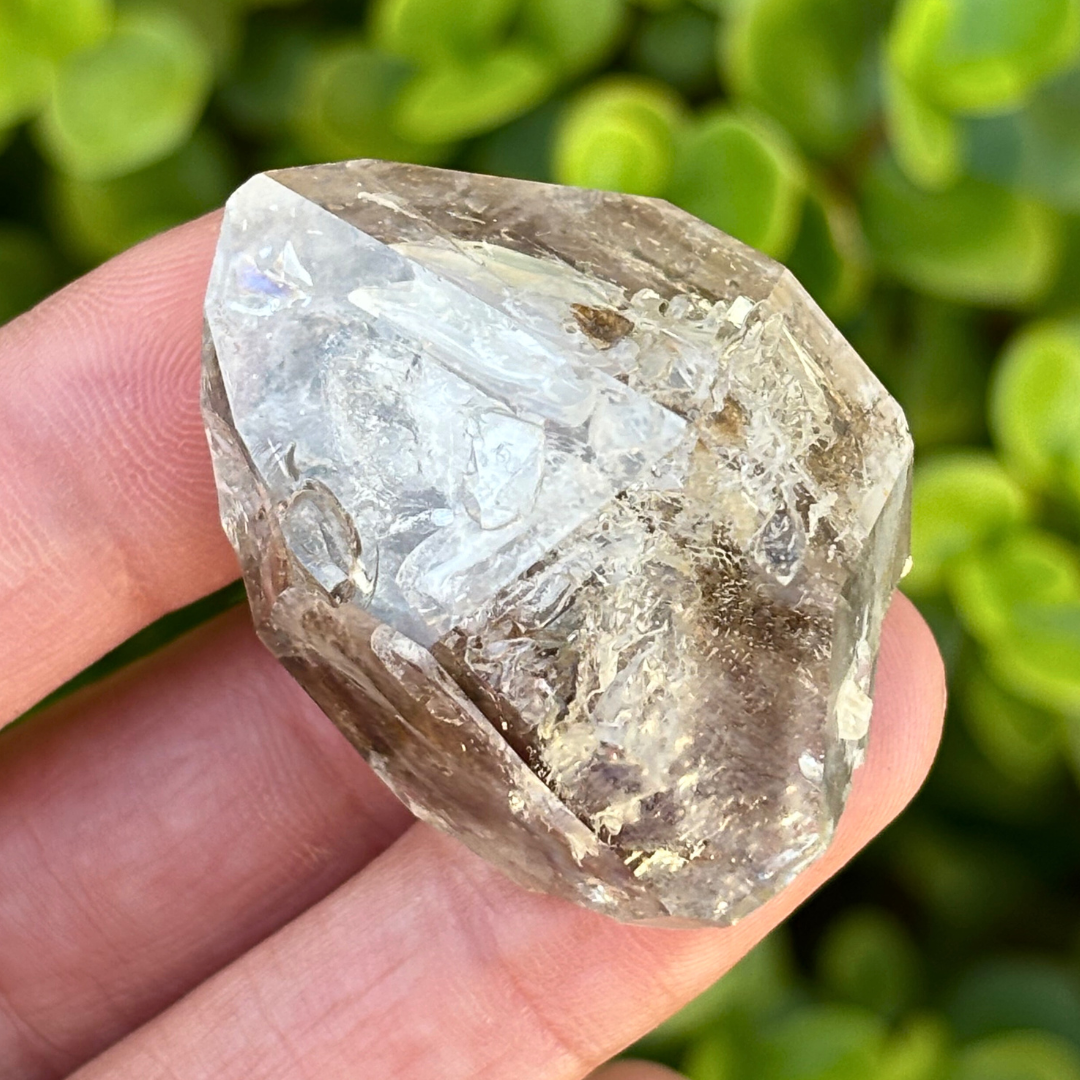 Brandberg Smoky Window Quartz Point (Enhydro Runner)