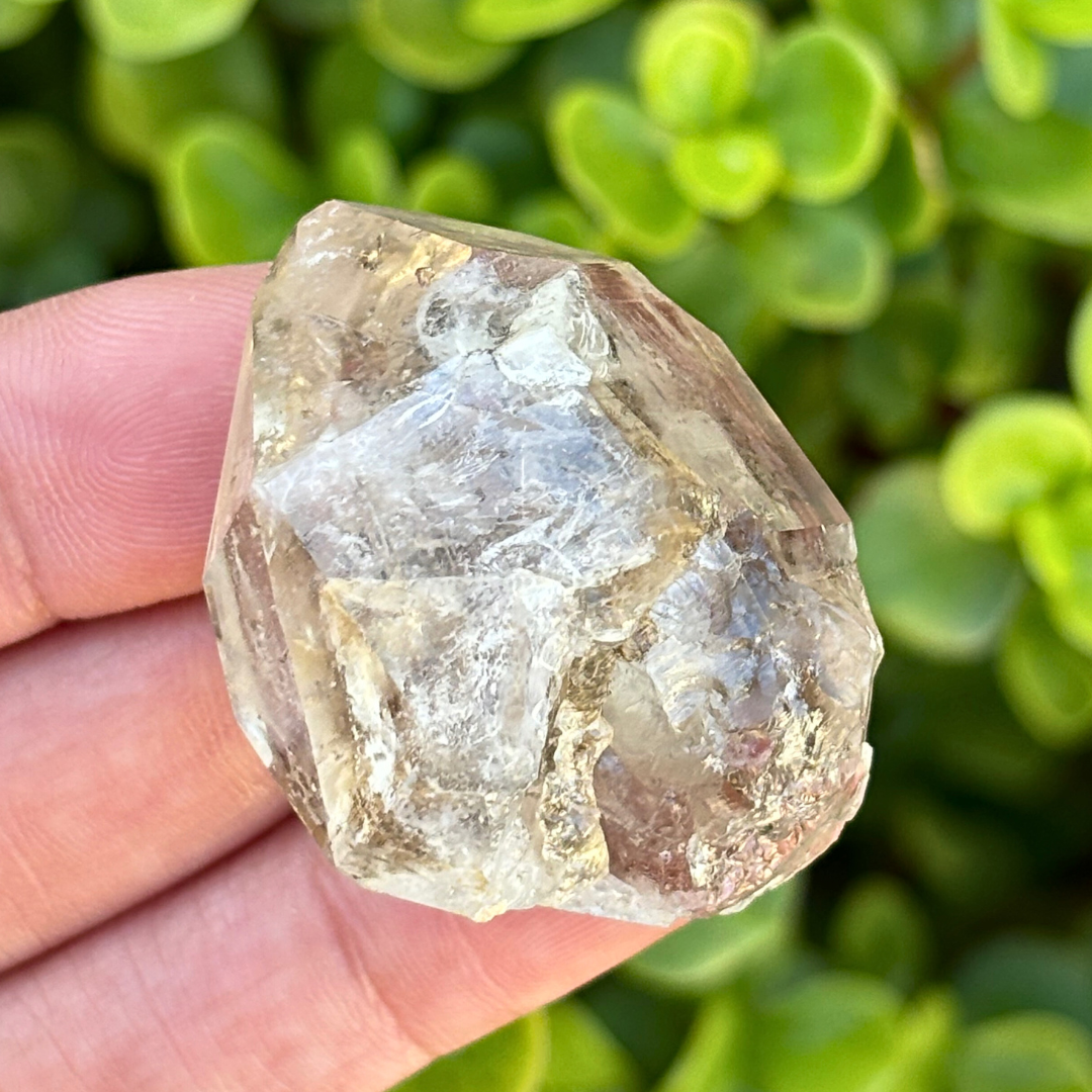 Brandberg Smoky Window Quartz Point (Enhydro Runner)