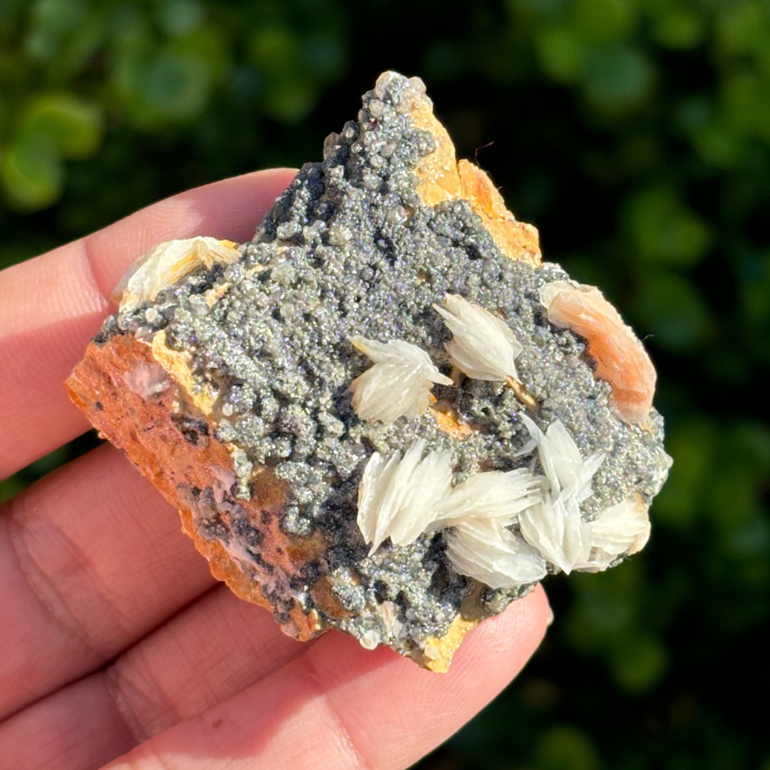 Baryte & Galena Cluster