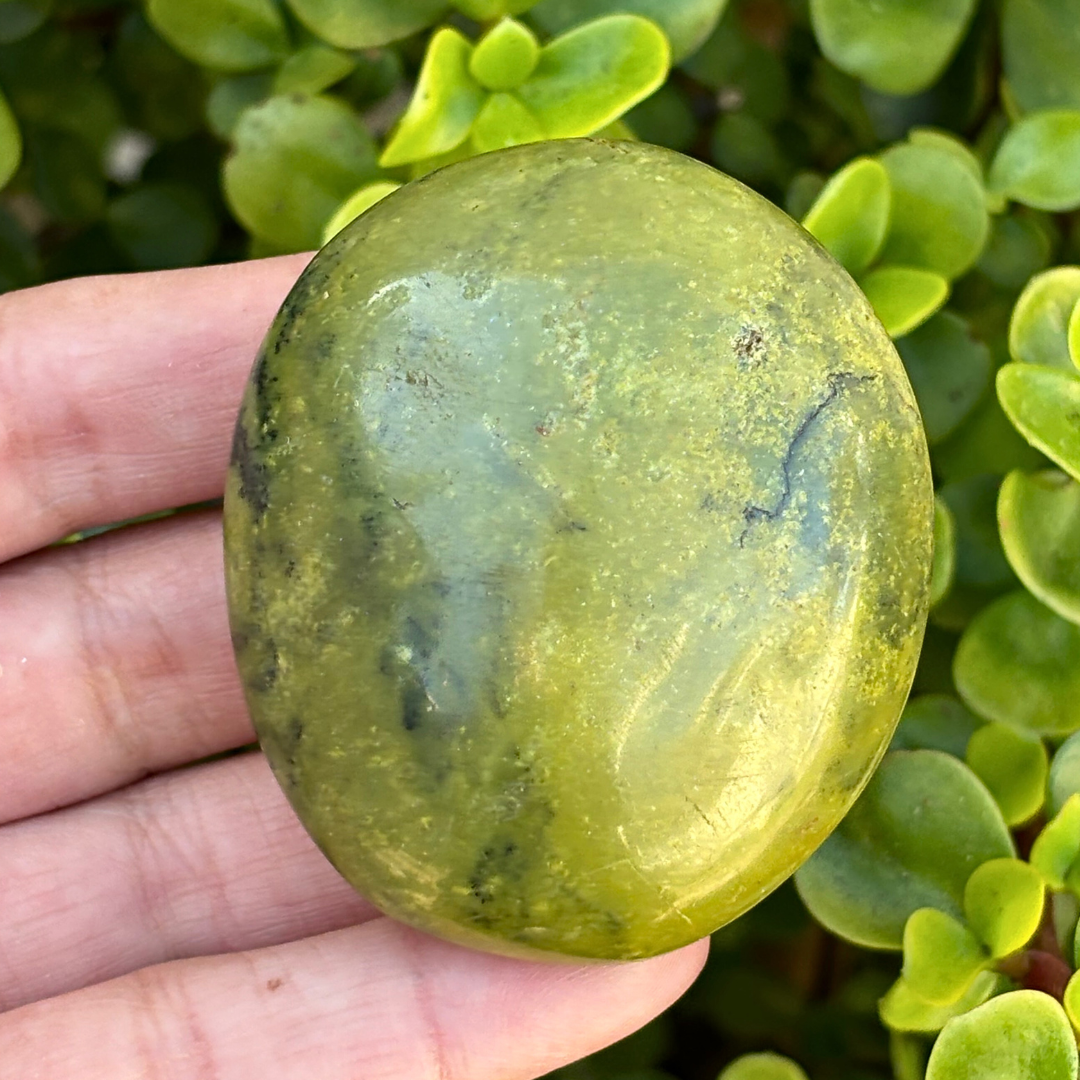 Green Opal Palm Stone