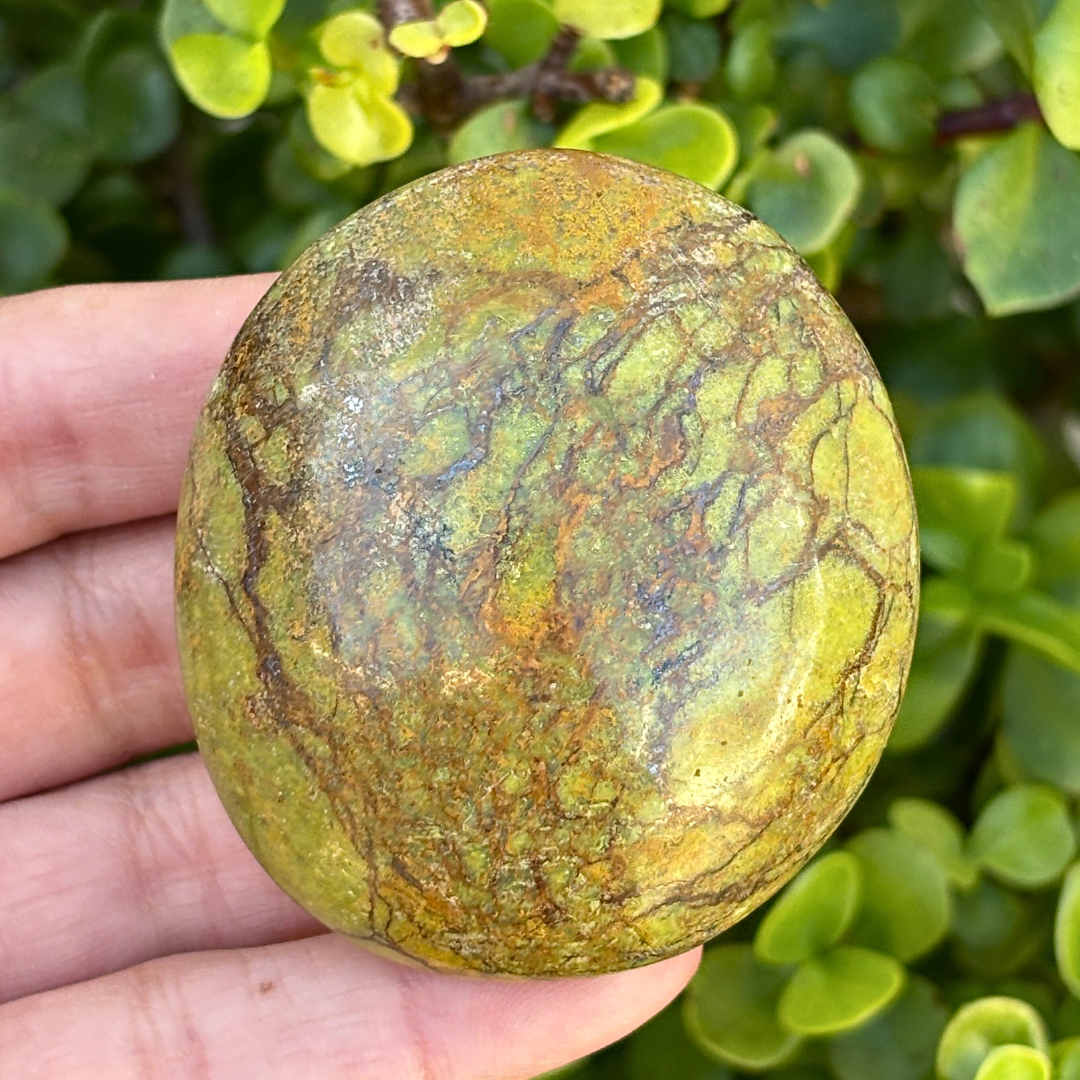 Green Opal Palm Stone