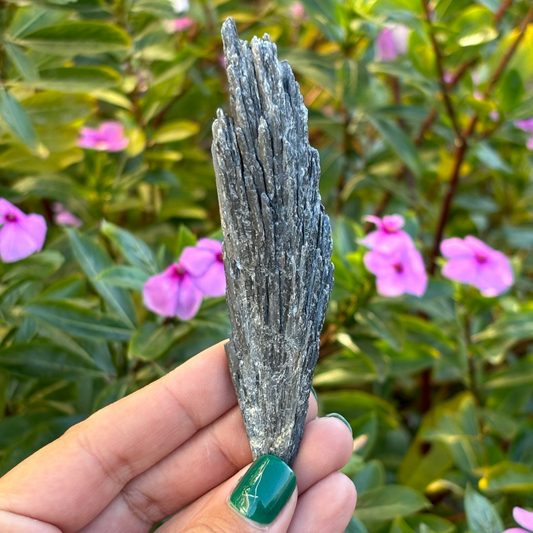 Black Kyanite Fan - Large