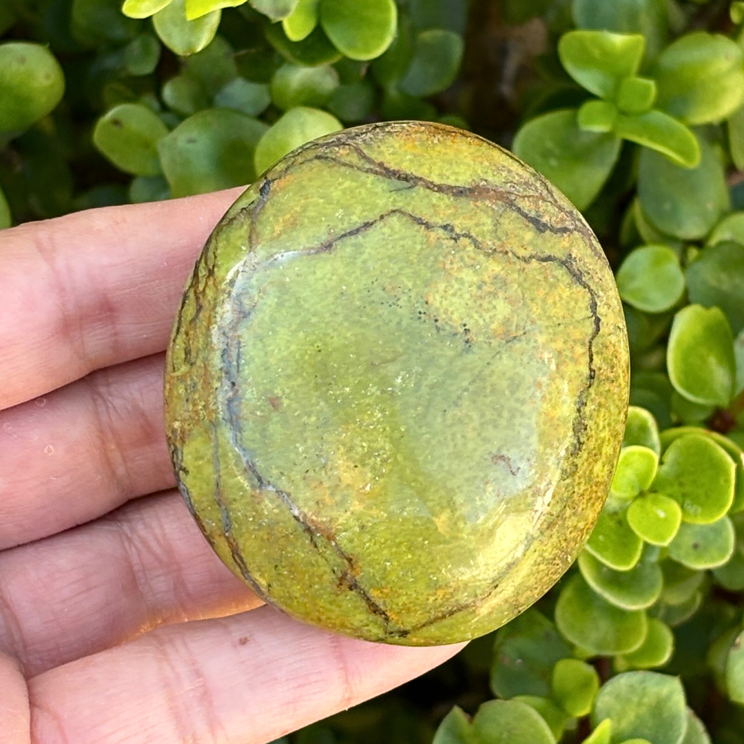 Green Opal Palm Stone