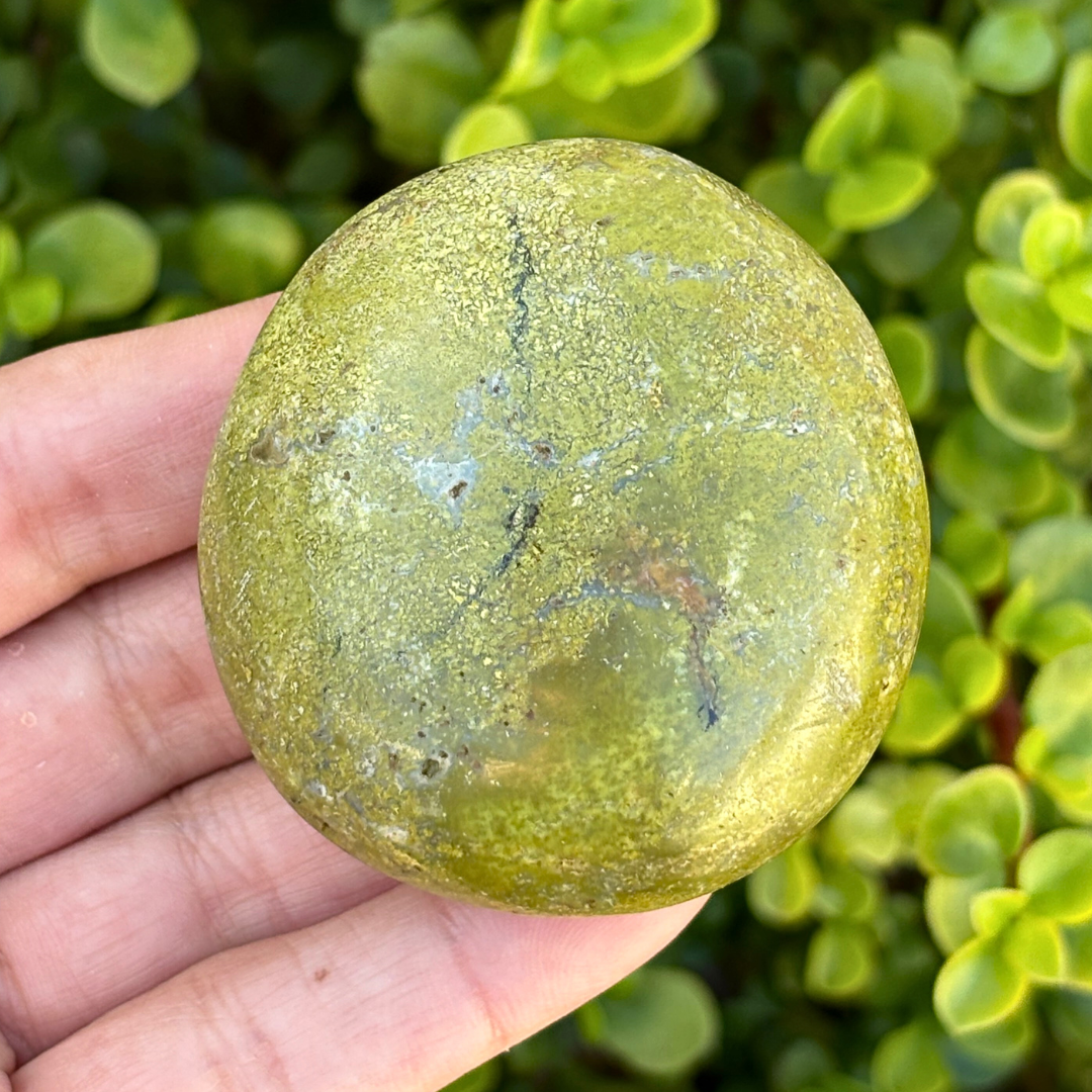 Green Opal Palm Stone