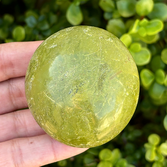 Green Opal Palm Stone