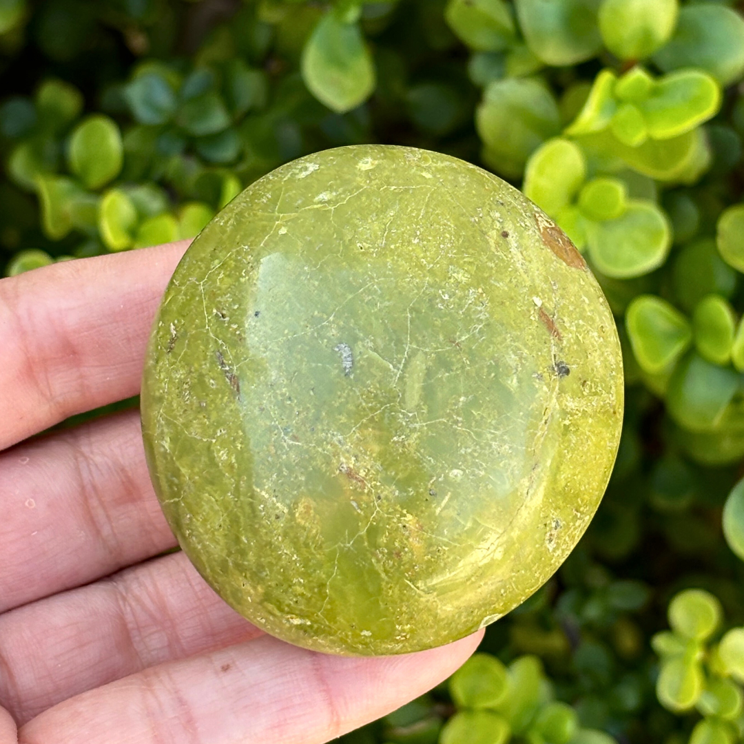 Green Opal Palm Stone