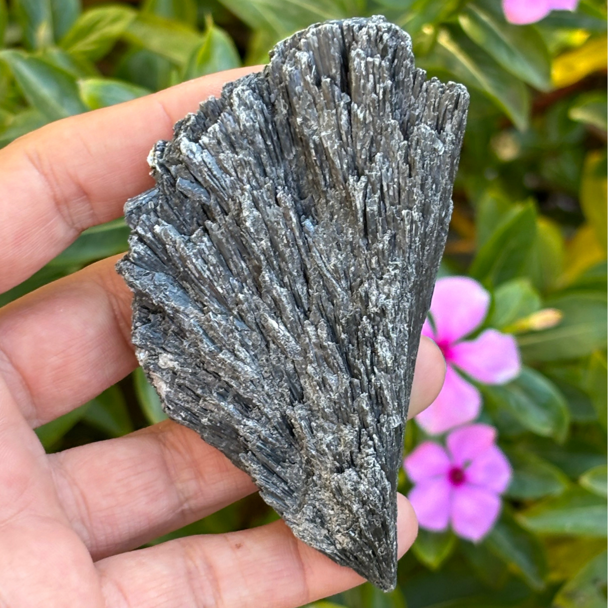 Black Kyanite Fan - Large