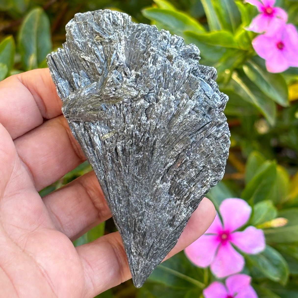 Black Kyanite Fan - Large