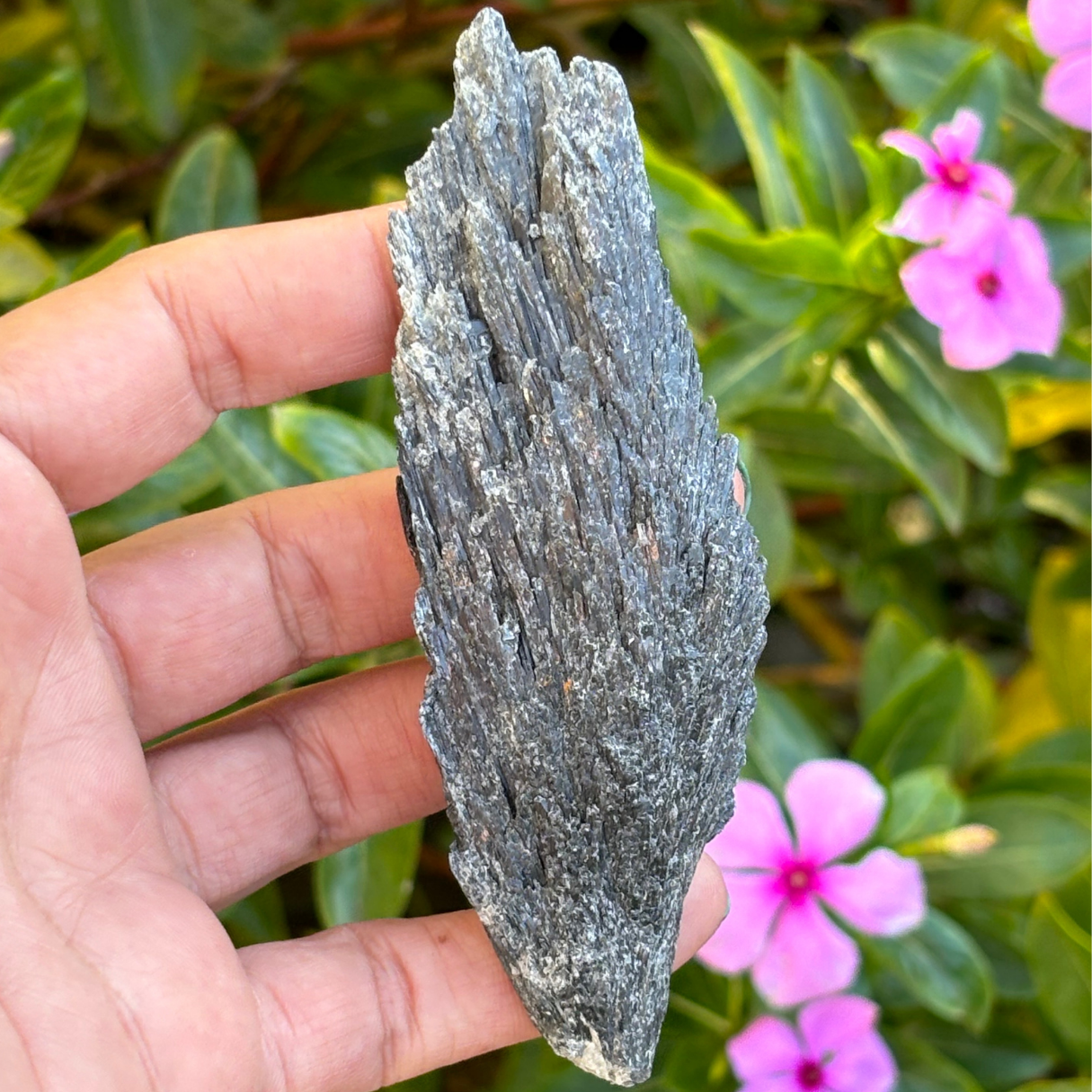 Black Kyanite Fan - Large