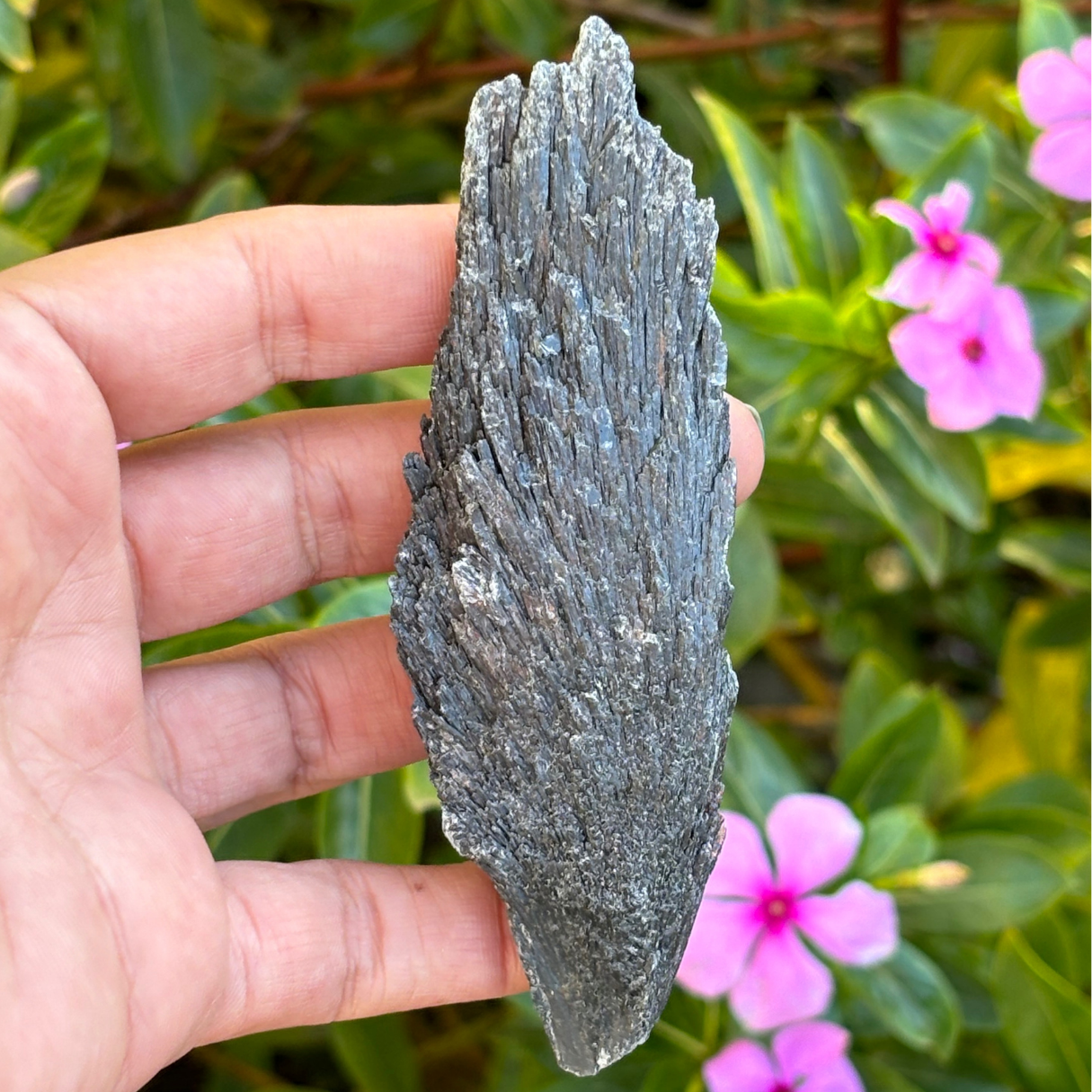 Black Kyanite Fan - Large