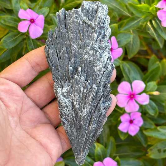 Black Kyanite Fan - Large