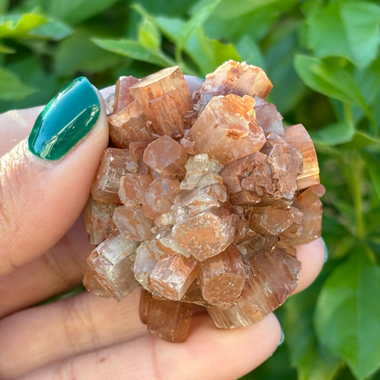 Aragonite Star Cluster