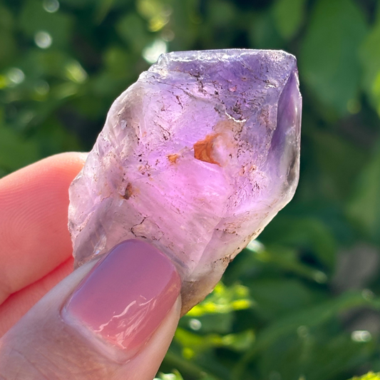 Royal Zulu Window Amethyst *New Find*