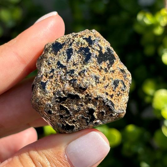 Black Garnet (Melanite) var. Andradite