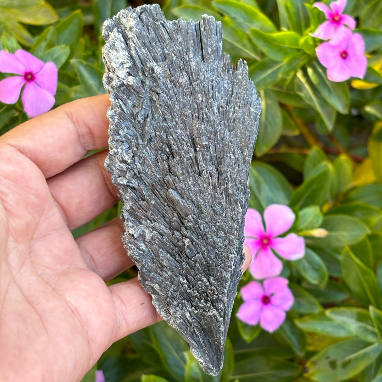 Black Kyanite Fan - Large