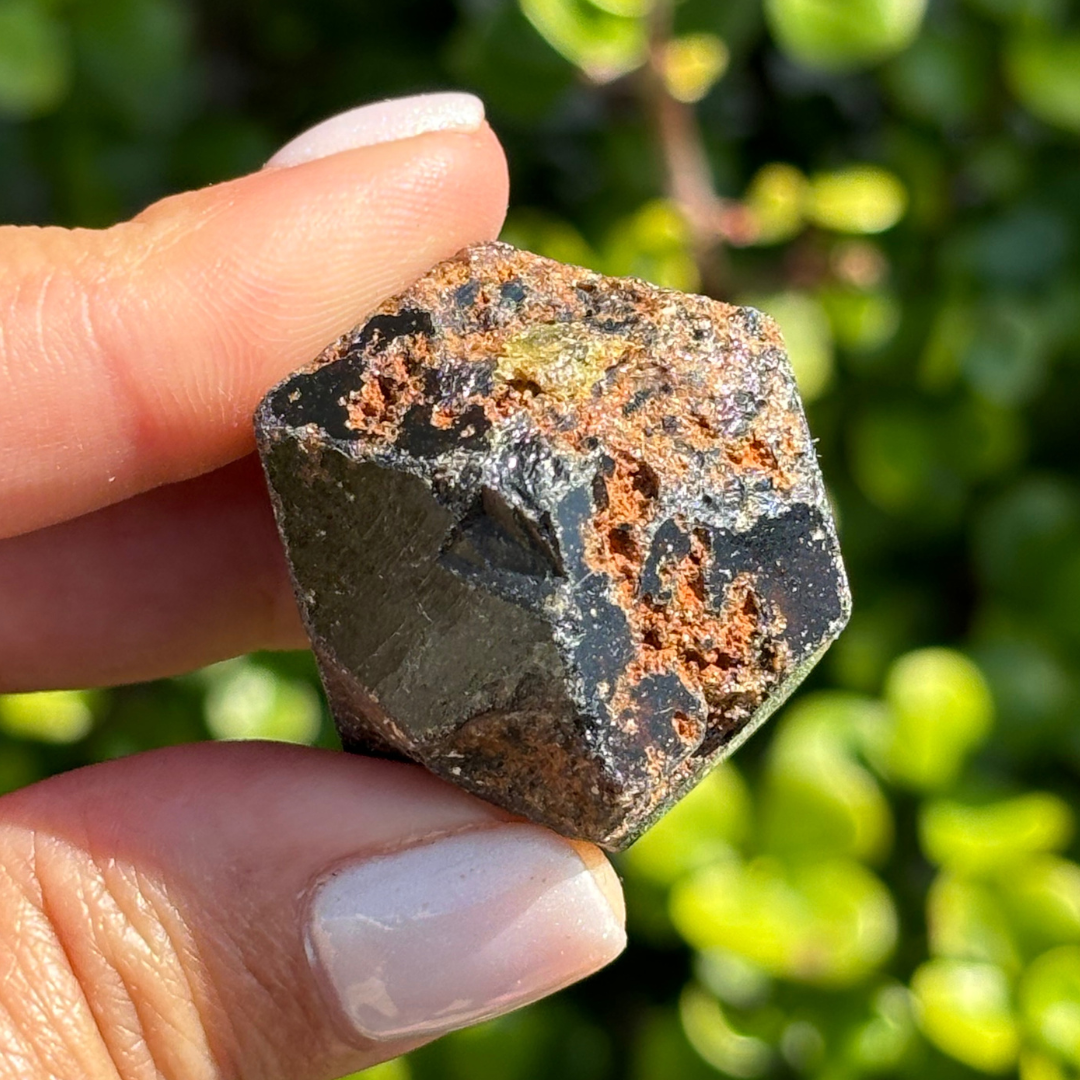 Black Garnet (Melanite) var. Andradite