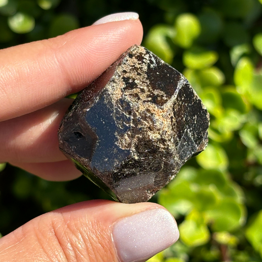 Black Garnet (Melanite) var. Andradite