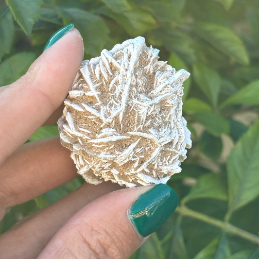 Desert Rose Selenite Specimen