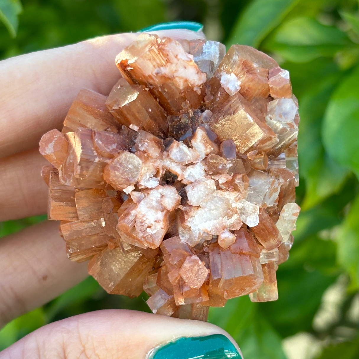 Aragonite Star Cluster