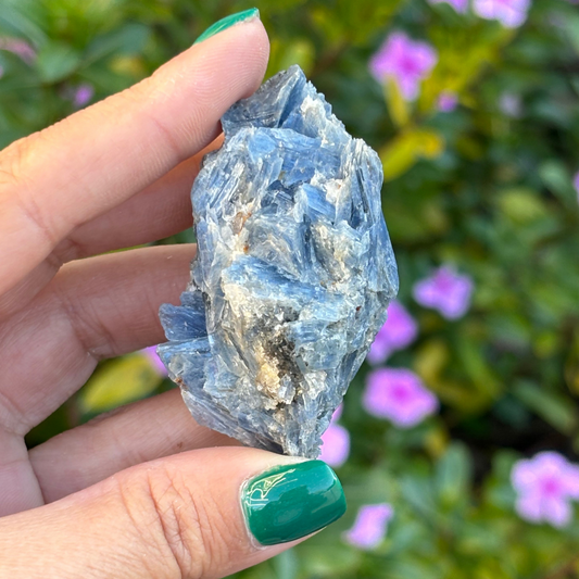 Blue Kyanite Cluster A+ Grade