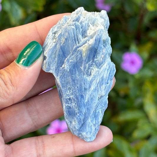 Blue Kyanite Cluster A+ Grade