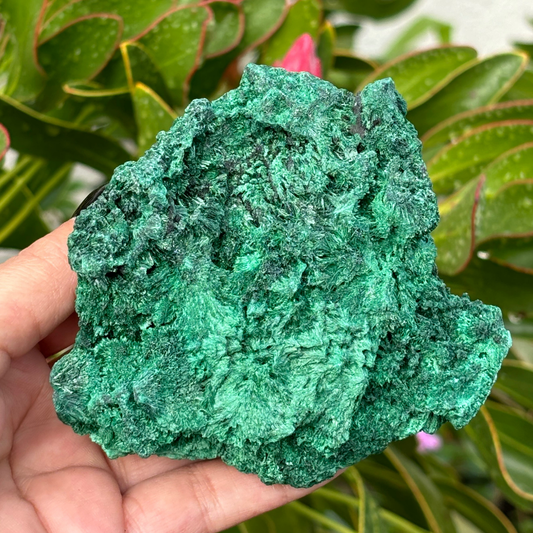 Natural Fibrous Velvet Malachite Specimen - Large