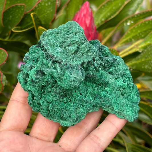 Natural Fibrous Velvet Malachite Specimen - Large