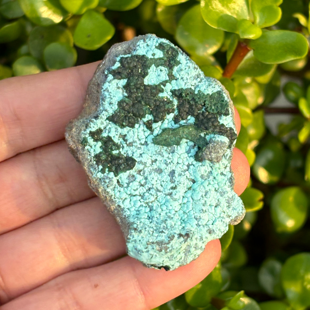 Chrysocolla with Malachite Specimen