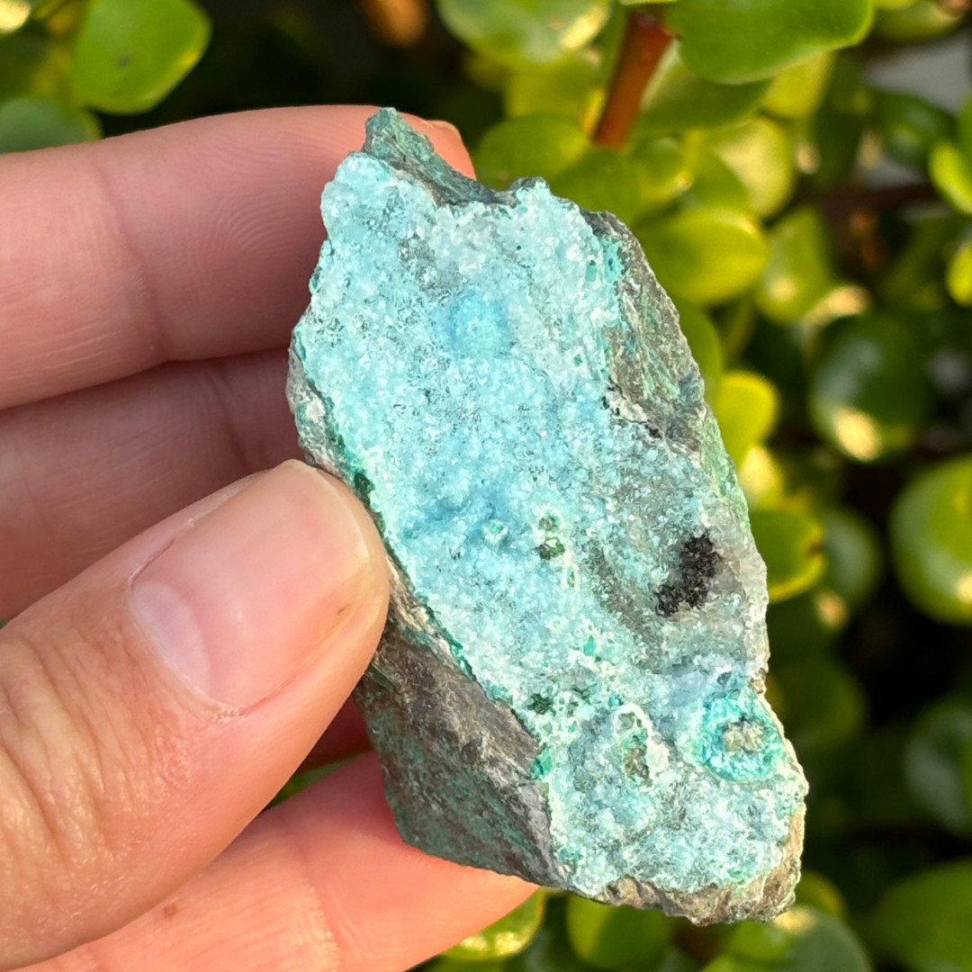 Chrysocolla with Malachite Specimen