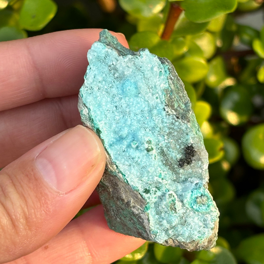 Chrysocolla with Malachite Specimen