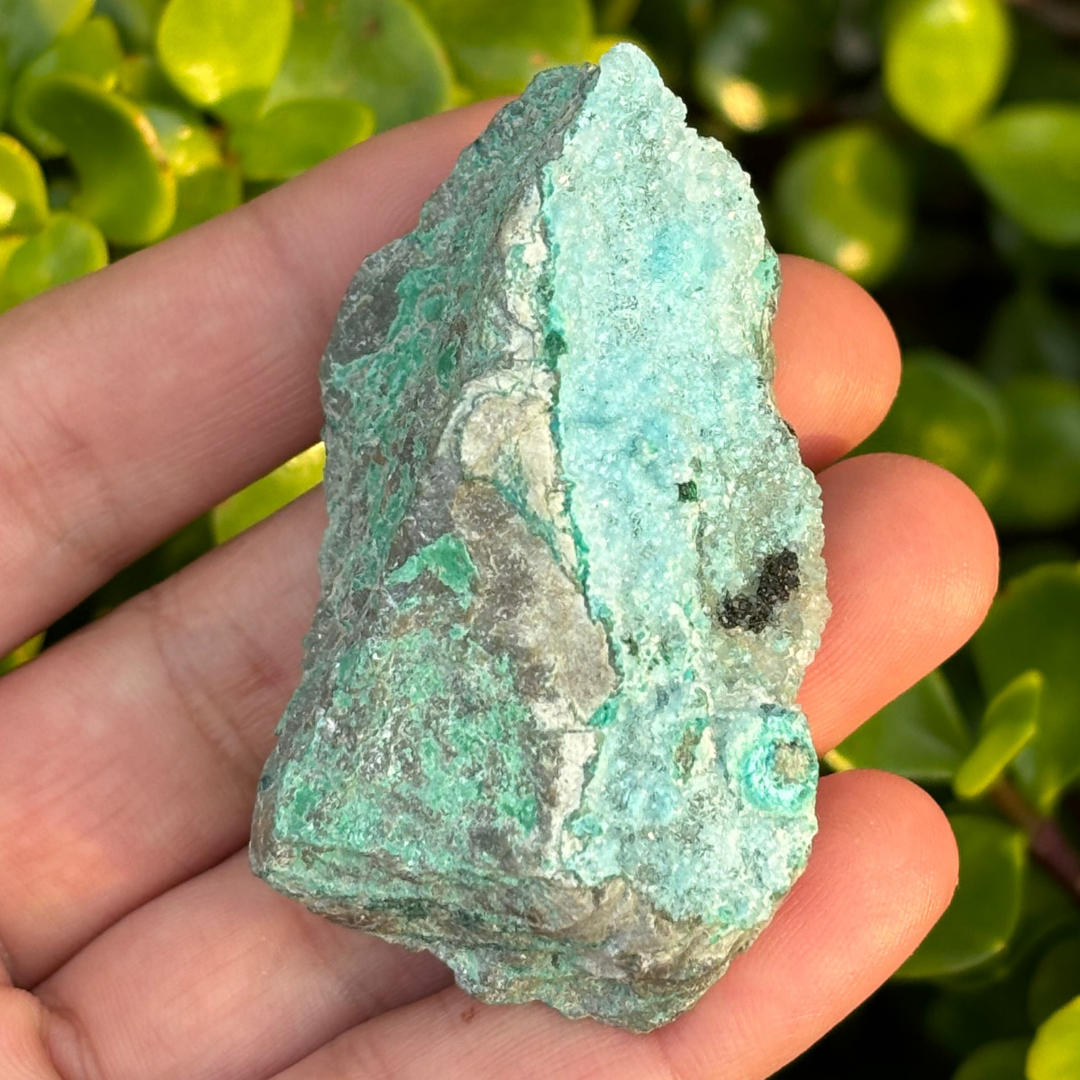 Chrysocolla with Malachite Specimen