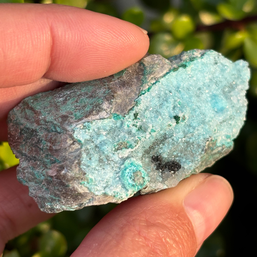 Chrysocolla with Malachite Specimen