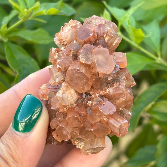 Aragonite Star Cluster