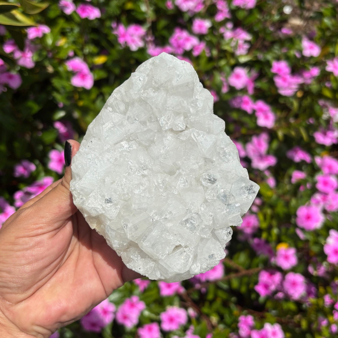 Apophyllite Cluster