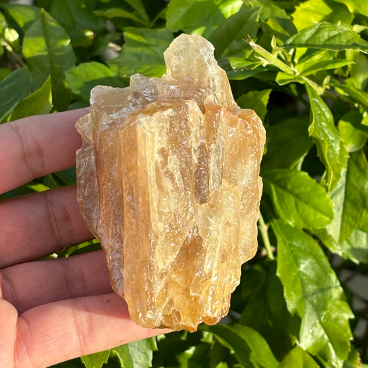 Honey Aragonite Specimen