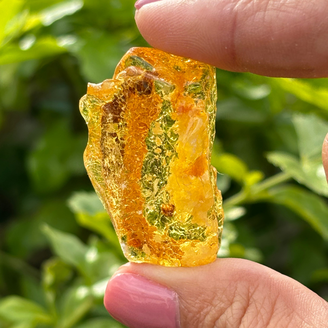 Amber Specimen 7.9g