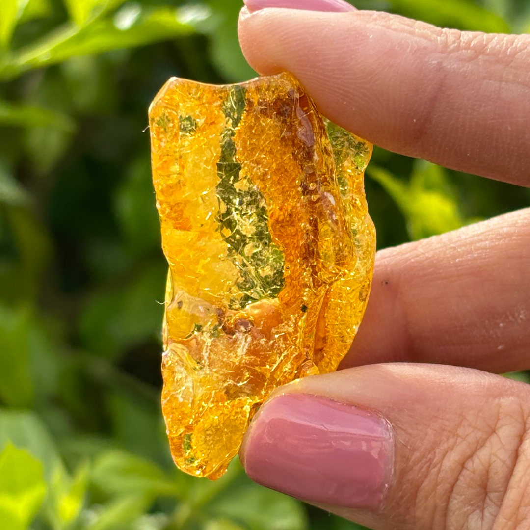 Amber Specimen 7.9g