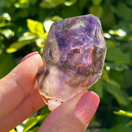 Royal Zulu Window Amethyst *New Find*