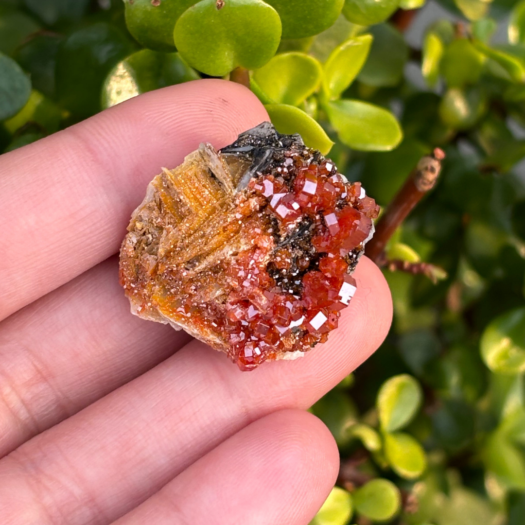 Vanadinite on Baryte Specimen - AA Grade